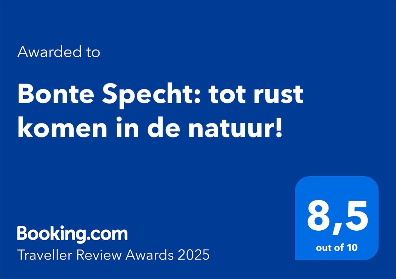 Bonte Specht: Tot Rust Komen In De Natuur! Otterlo Exterior photo